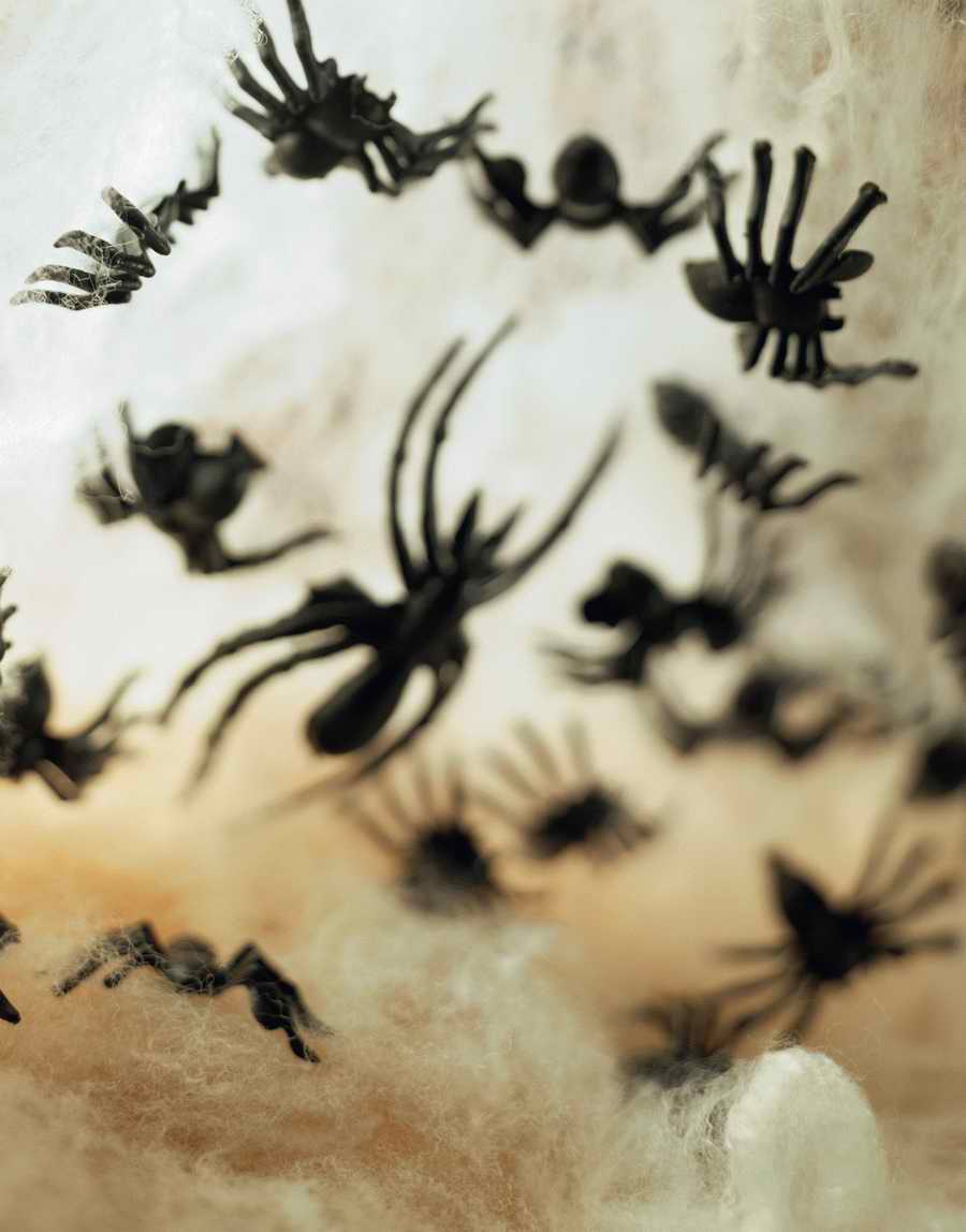 Holidays, Celebrations & Seasons - Photodisc ></a>
<script language=JavaScript> 
  var txt = 