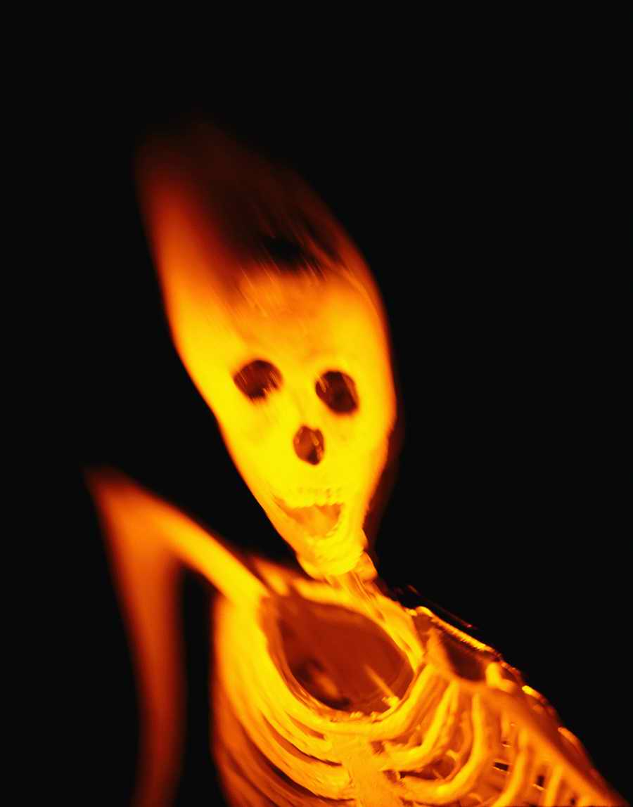 Holidays, Celebrations & Seasons - Photodisc ></a>
<script language=JavaScript> 
  var txt = 