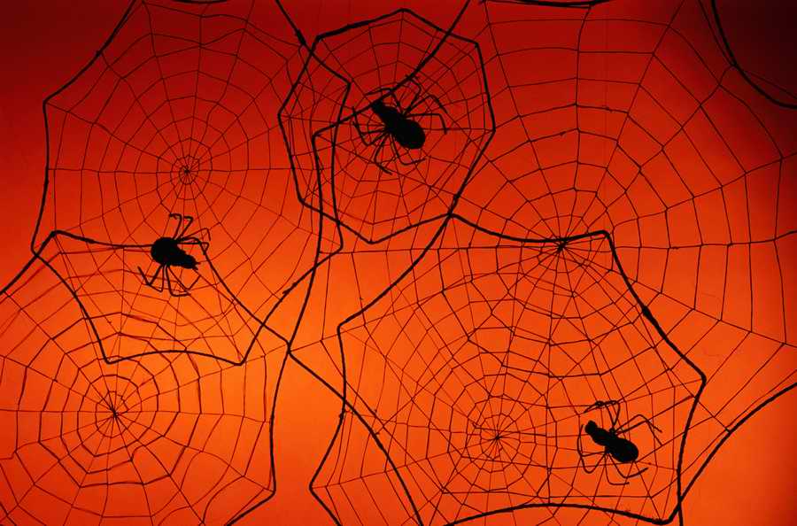 Holidays, Celebrations & Seasons - Photodisc ></a>
<script language=JavaScript> 
  var txt = 