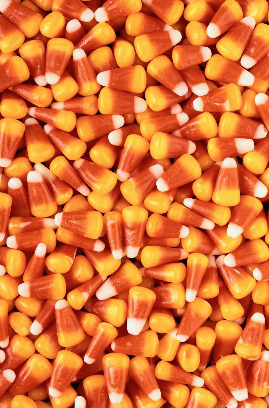 Holidays, Celebrations & Seasons - Photodisc ></a>
<script language=JavaScript> 
  var txt = 