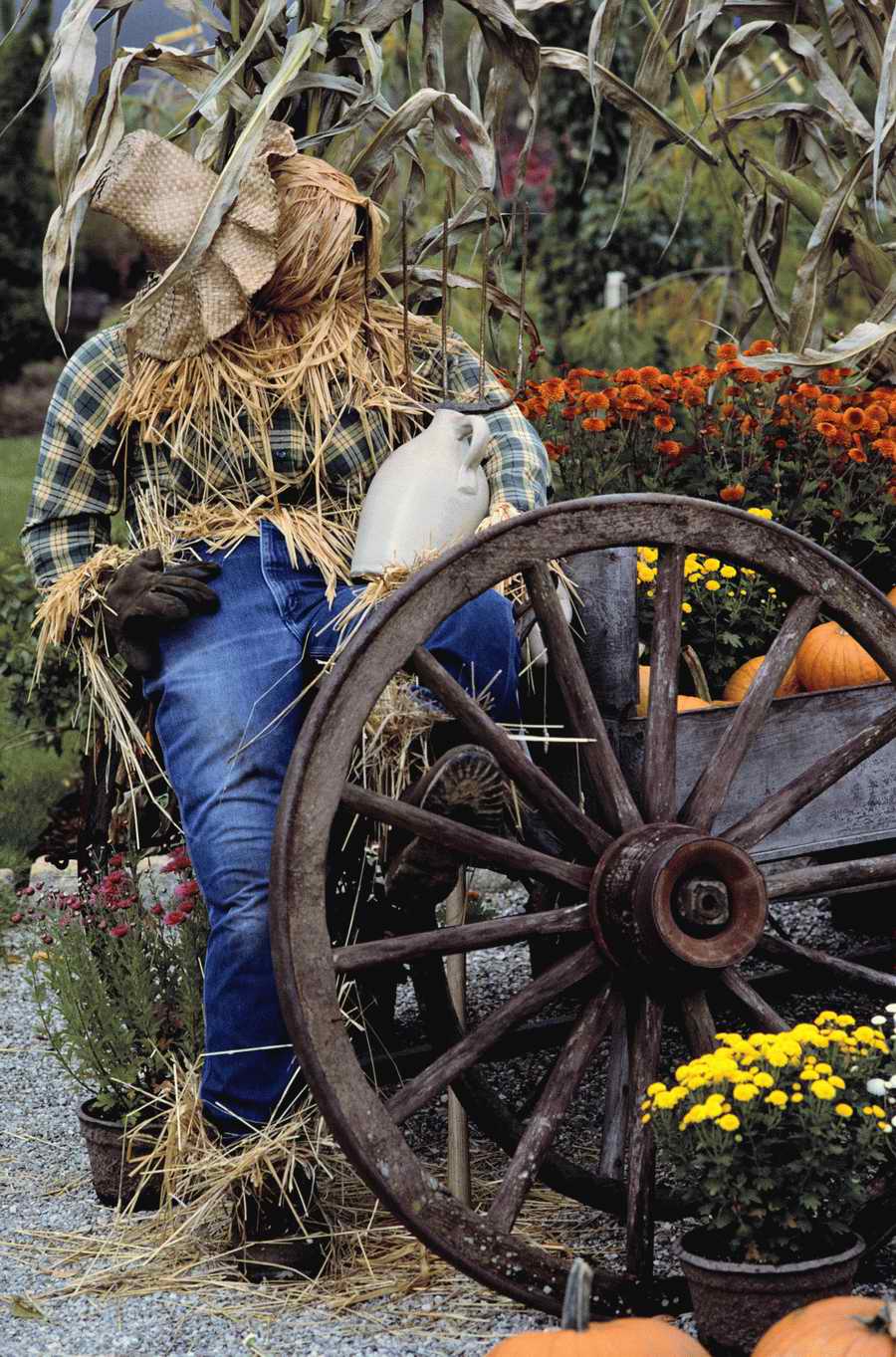 Holidays, Celebrations & Seasons - Photodisc ></a>
<script language=JavaScript> 
  var txt = 