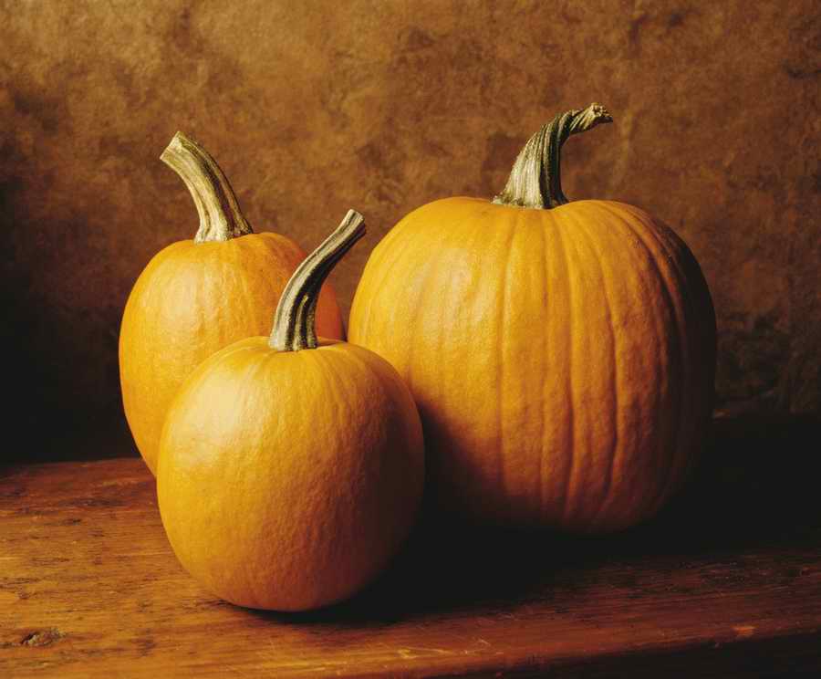 Holidays, Celebrations & Seasons - Photodisc ></a>
<script language=JavaScript> 
  var txt = 