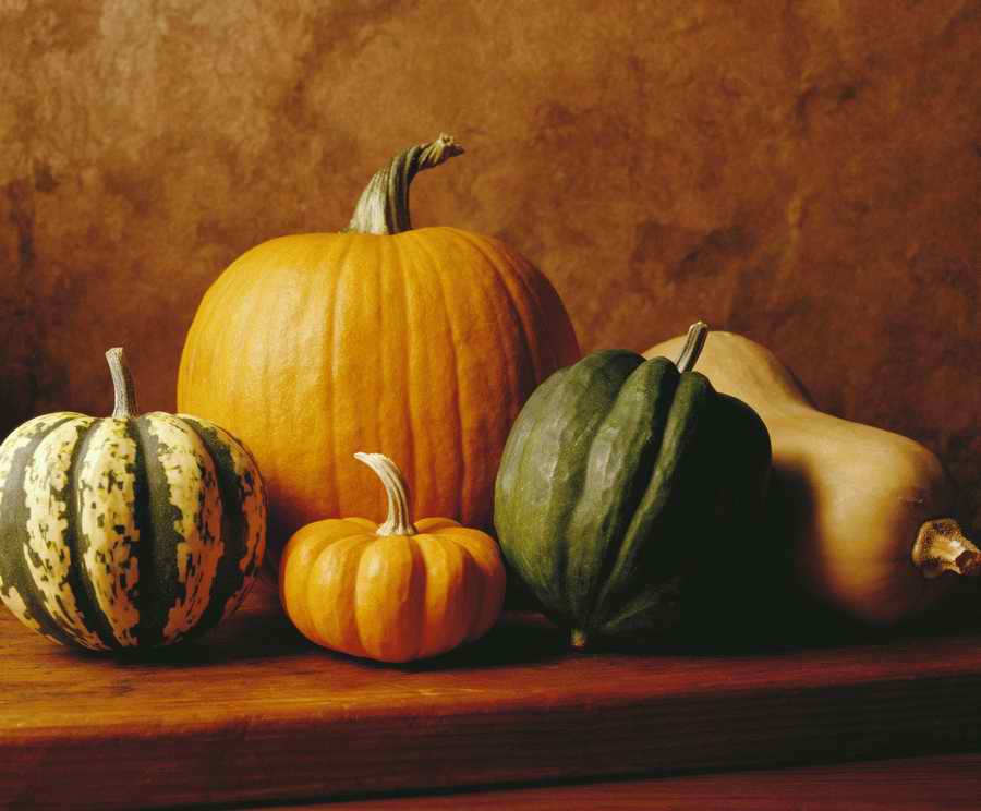 Holidays, Celebrations & Seasons - Photodisc ></a>
<script language=JavaScript> 
  var txt = 