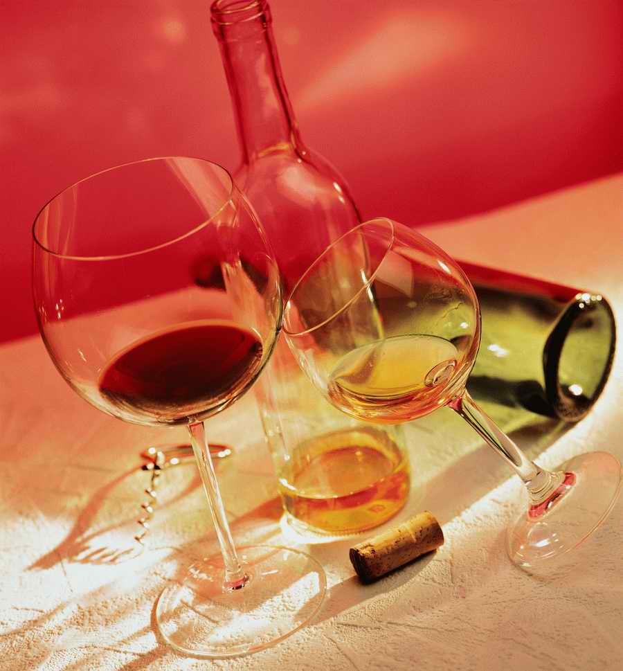 Holidays, Celebrations & Seasons - Photodisc ></a>
<script language=JavaScript> 
  var txt = 