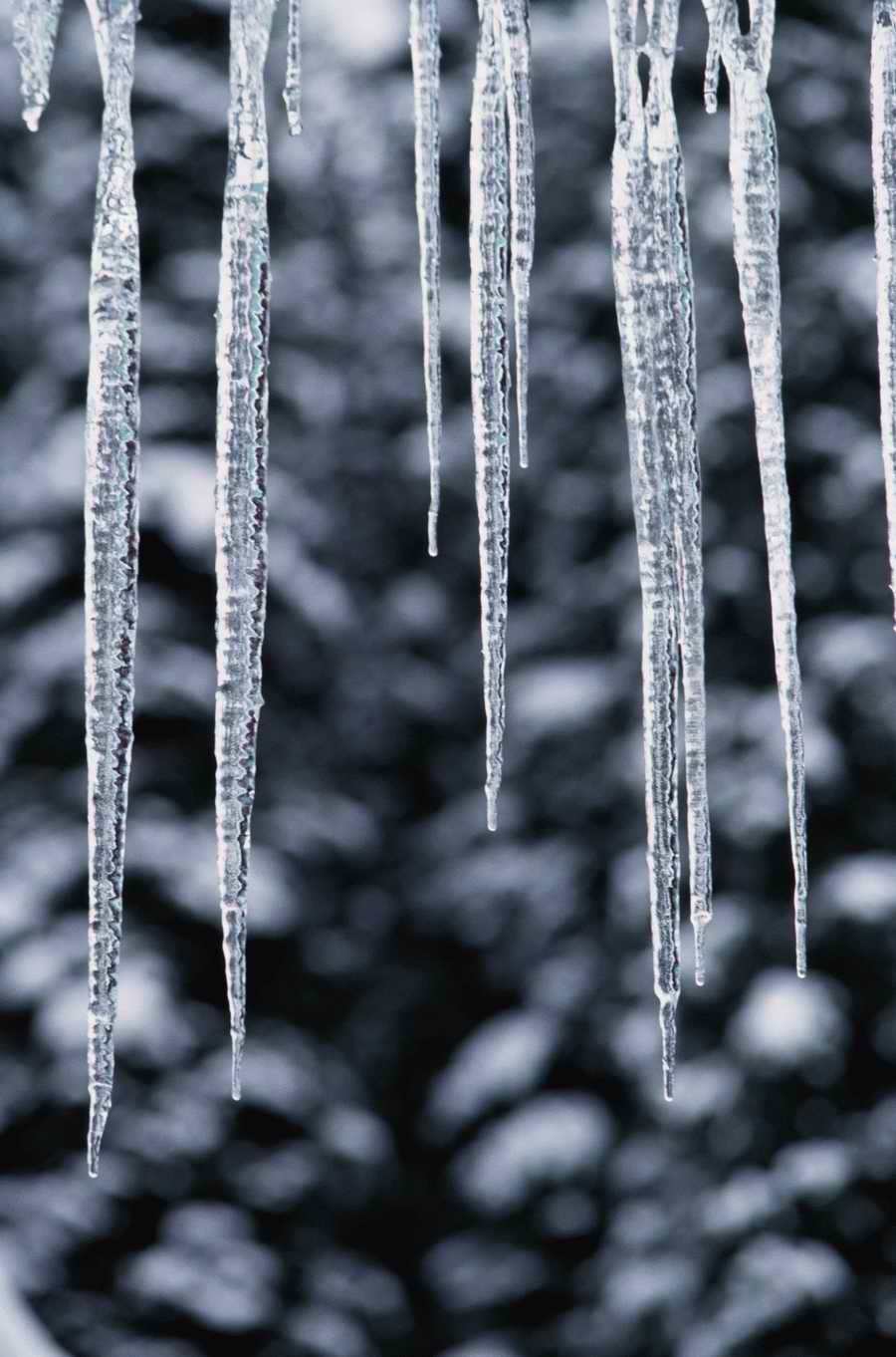 Holidays, Celebrations & Seasons - Photodisc ></a>
<script language=JavaScript> 
  var txt = 