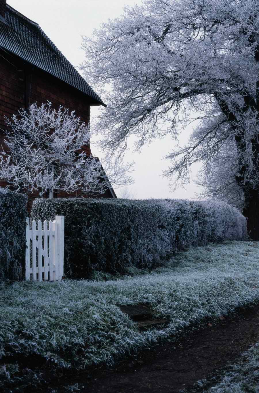 Holidays, Celebrations & Seasons - Photodisc ></a>
<script language=JavaScript> 
  var txt = 