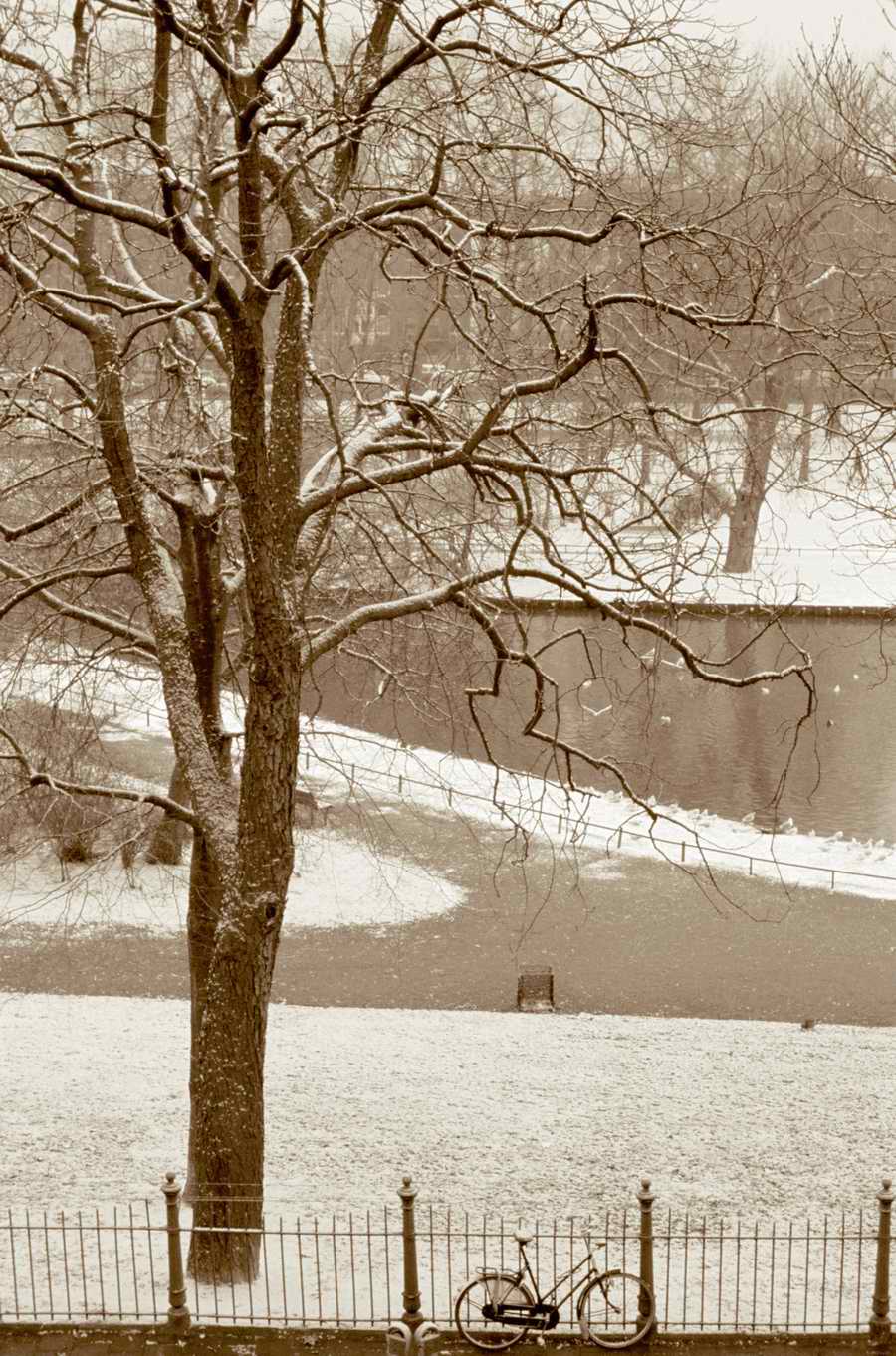 Holidays, Celebrations & Seasons - Photodisc ></a>
<script language=JavaScript> 
  var txt = 