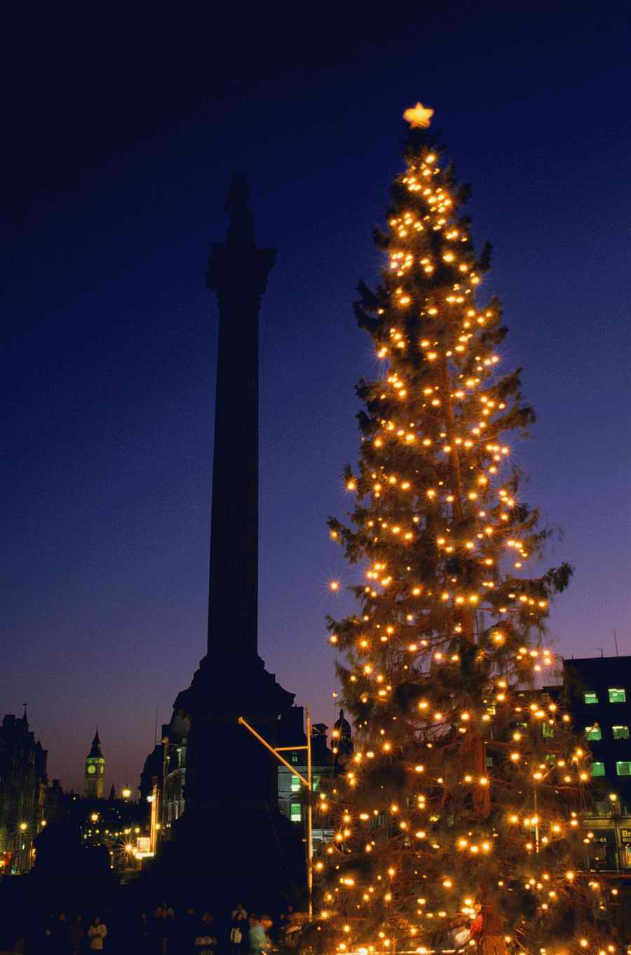 Holidays, Celebrations & Seasons - Photodisc ></a>
<script language=JavaScript> 
  var txt = 