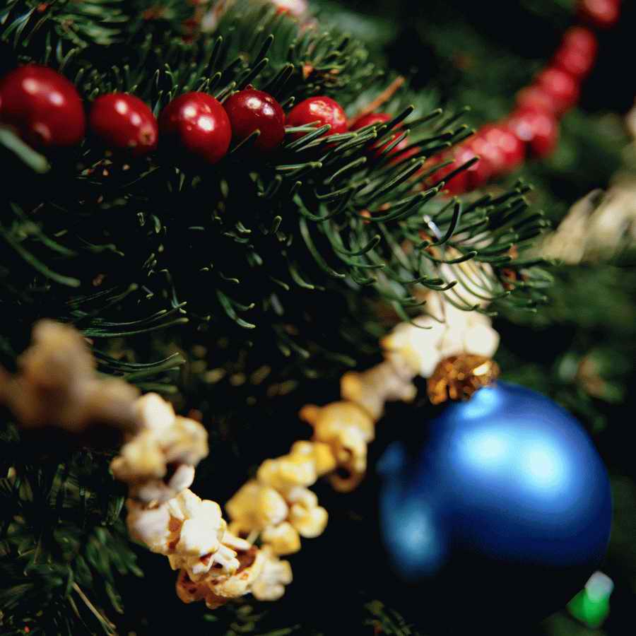 Holidays, Celebrations & Seasons - Photodisc ></a>
<script language=JavaScript> 
  var txt = 