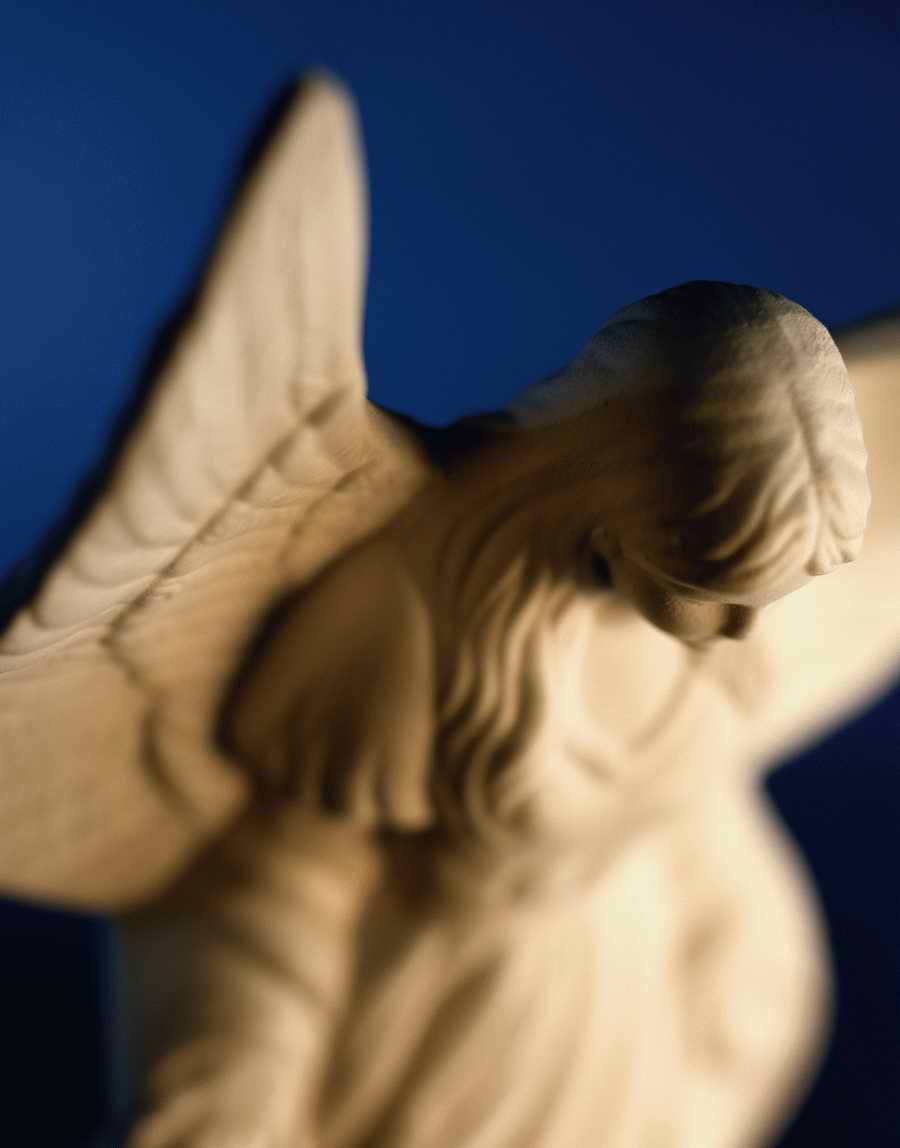 Holidays, Celebrations & Seasons - Photodisc ></a>
<script language=JavaScript> 
  var txt = 