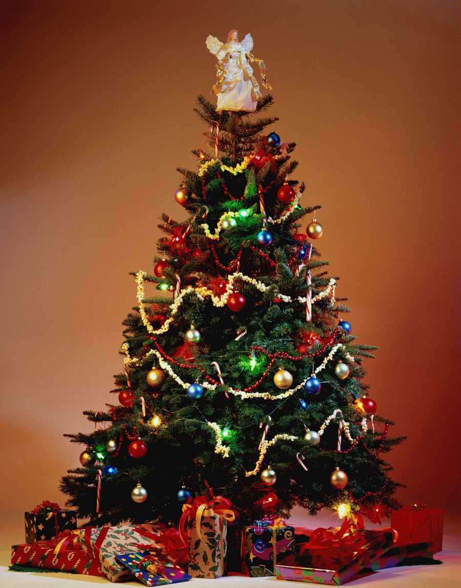 Holidays, Celebrations & Seasons - Photodisc ></a>
<script language=JavaScript> 
  var txt = 