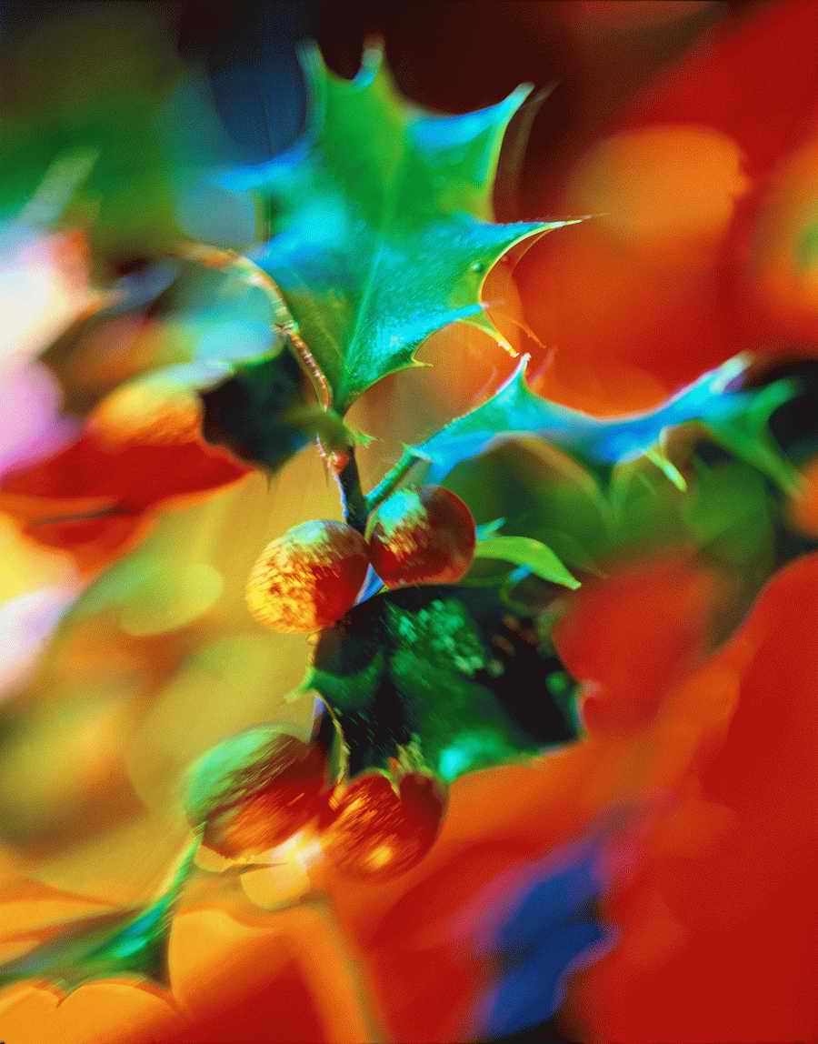 Holidays, Celebrations & Seasons - Photodisc ></a>
<script language=JavaScript> 
  var txt = 