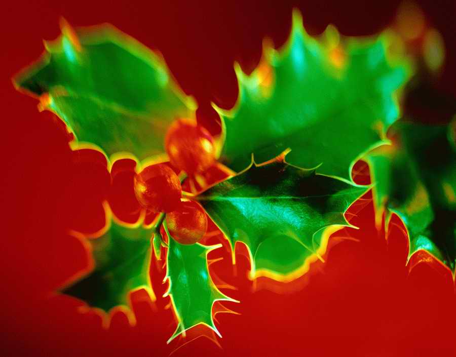 Holidays, Celebrations & Seasons - Photodisc ></a>
<script language=JavaScript> 
  var txt = 