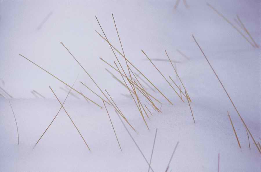 Holidays, Celebrations & Seasons - Photodisc ></a>
<script language=JavaScript> 
  var txt = 