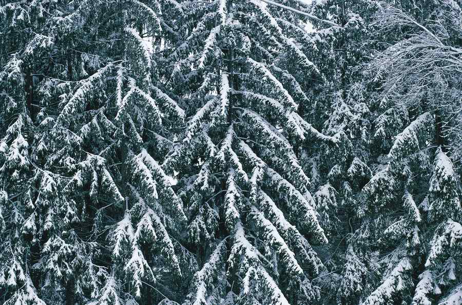 Holidays, Celebrations & Seasons - Photodisc ></a>
<script language=JavaScript> 
  var txt = 