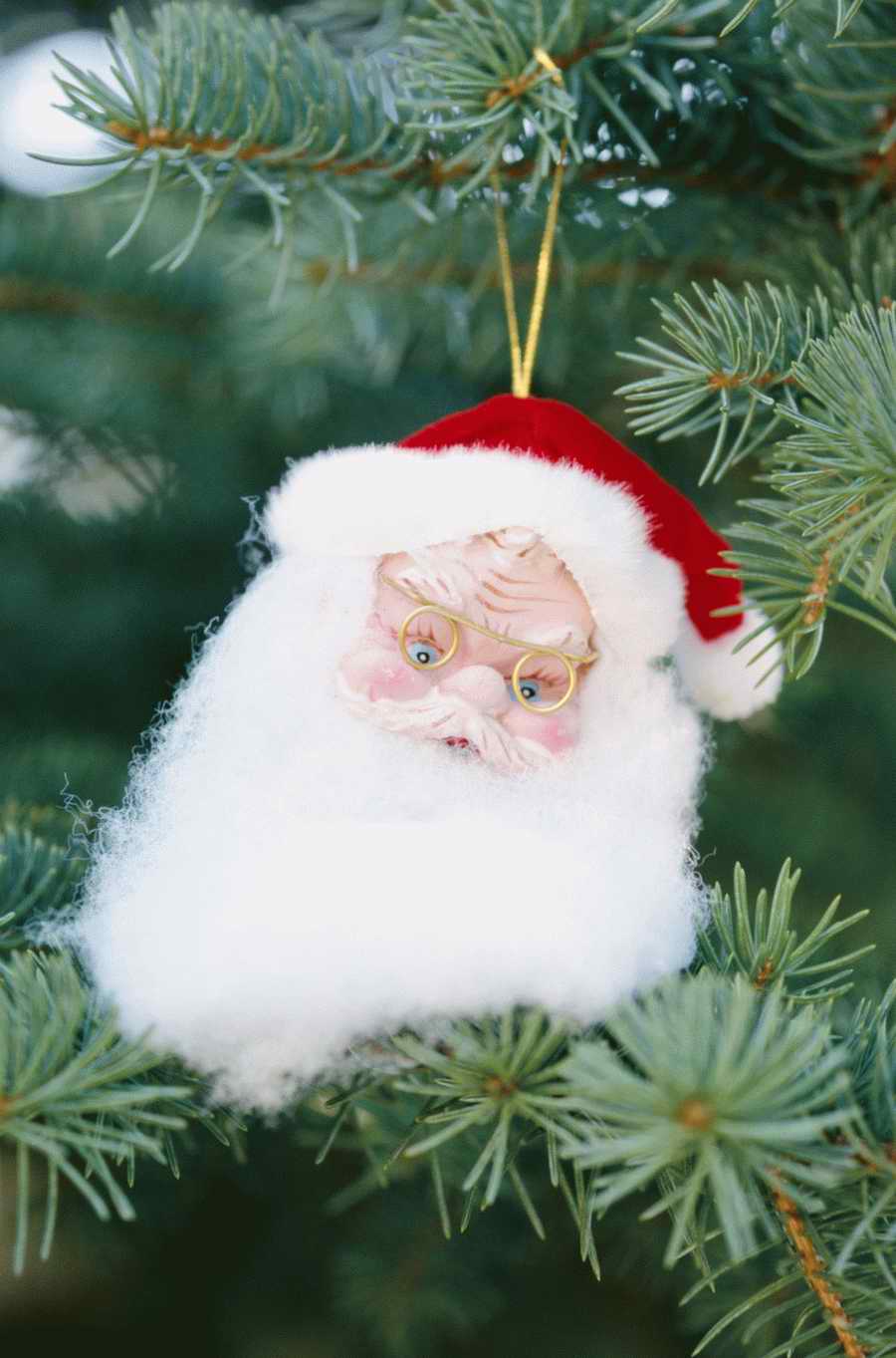 Holidays, Celebrations & Seasons - Photodisc ></a>
<script language=JavaScript> 
  var txt = 