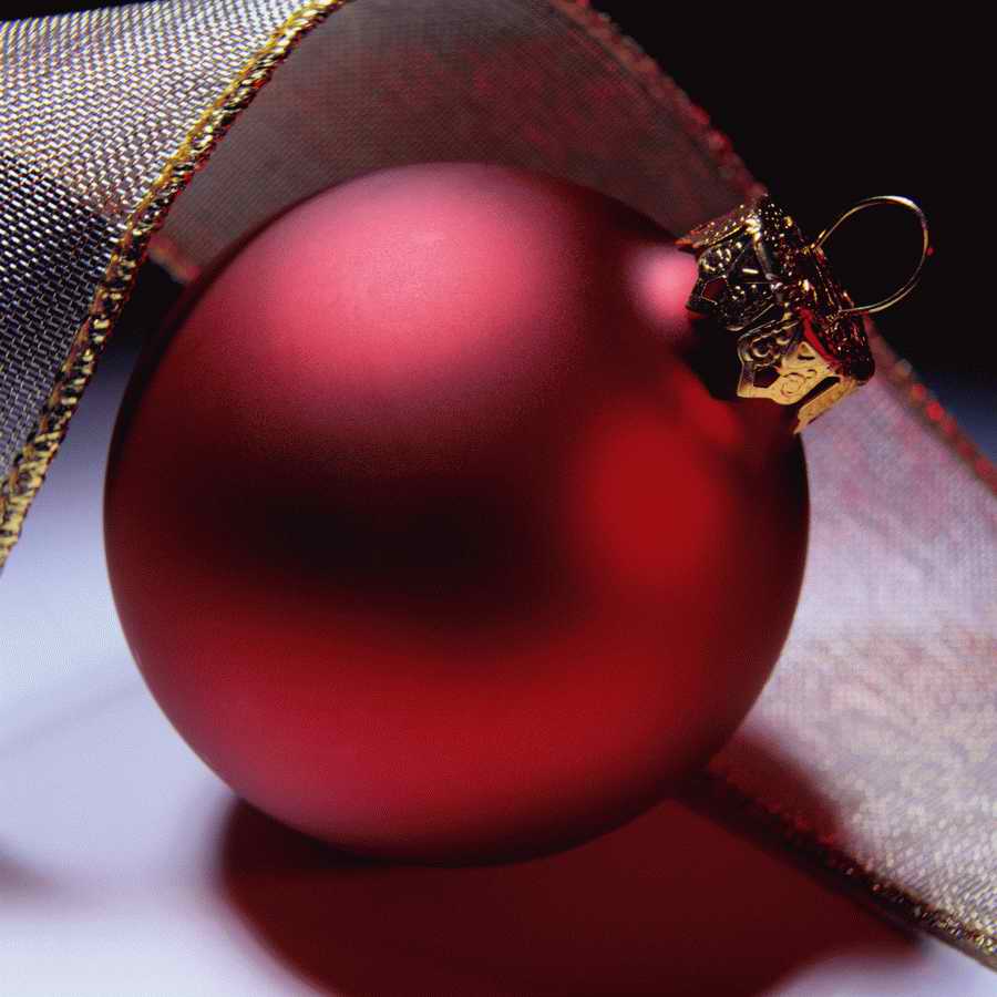 Holidays, Celebrations & Seasons - Photodisc ></a>
<script language=JavaScript> 
  var txt = 