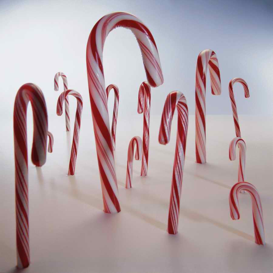 Holidays, Celebrations & Seasons - Photodisc ></a>
<script language=JavaScript> 
  var txt = 