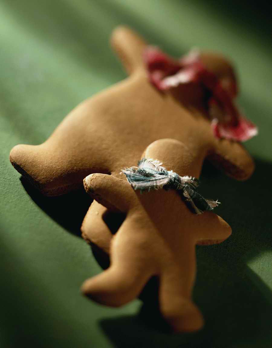 Holidays, Celebrations & Seasons - Photodisc ></a>
<script language=JavaScript> 
  var txt = 