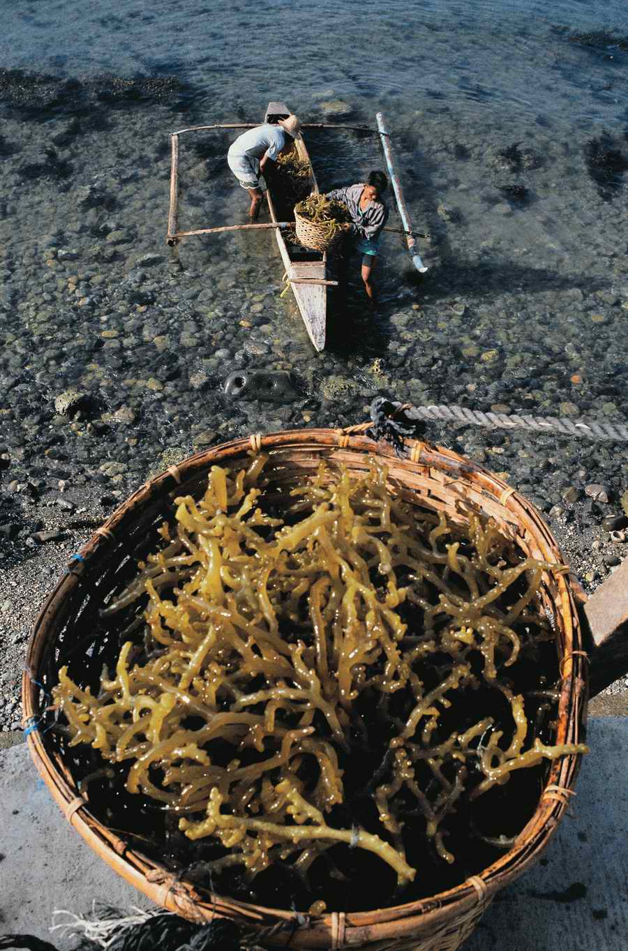 Industry & Transportation - Photodisc ></a>
<script language=JavaScript> 
  var txt = 