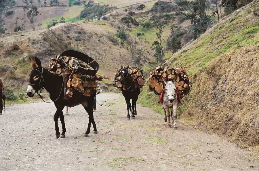 Industry & Transportation - Photodisc ></a>
<script language=JavaScript> 
  var txt = 