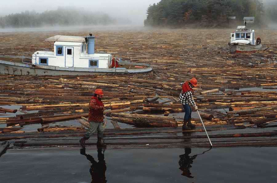 Industry & Transportation - Photodisc ></a>
<script language=JavaScript> 
  var txt = 