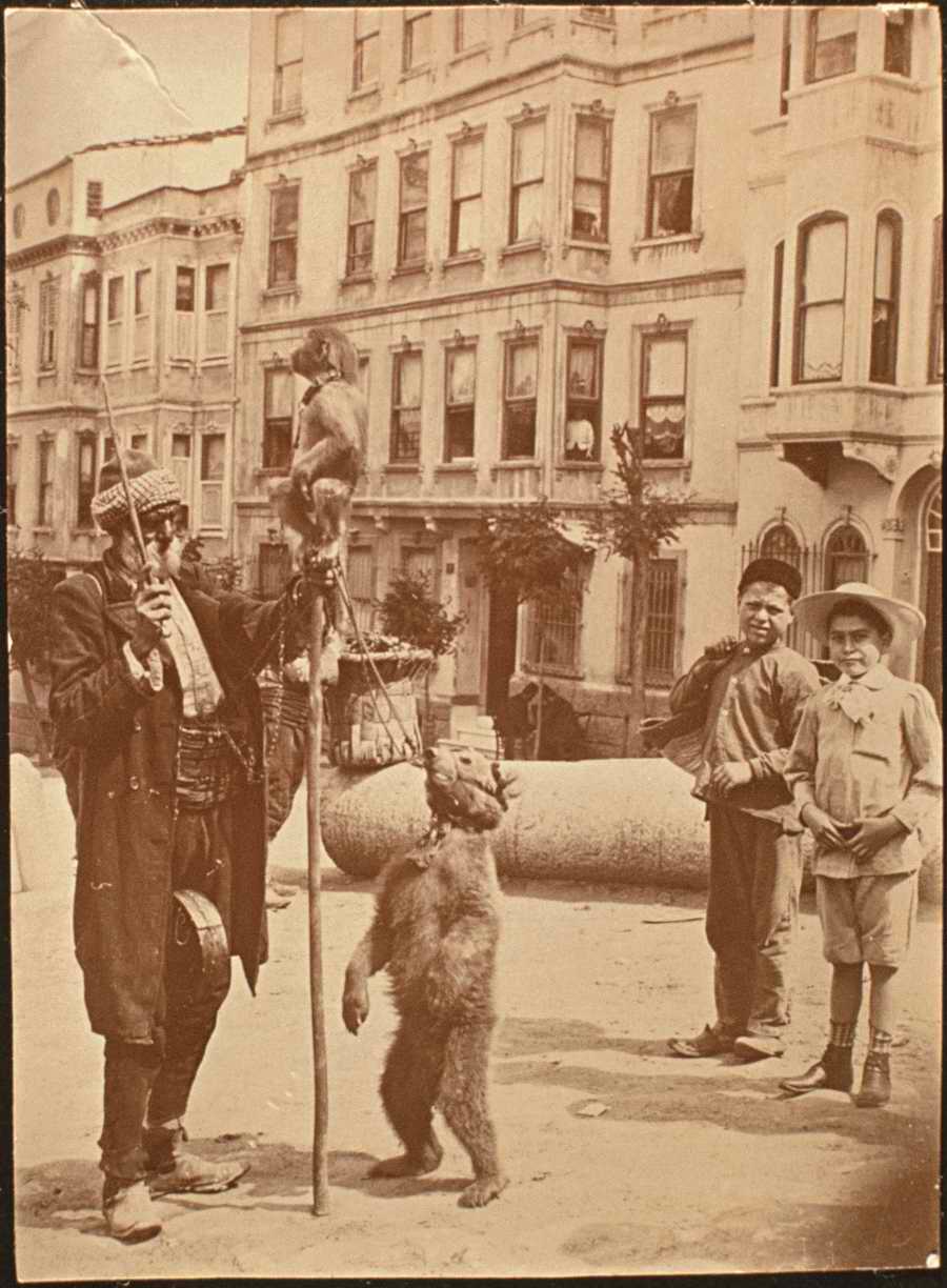 Italian Fine Art, Prints & Photographs - Photodisc ></a>
<script language=JavaScript> 
  var txt = 