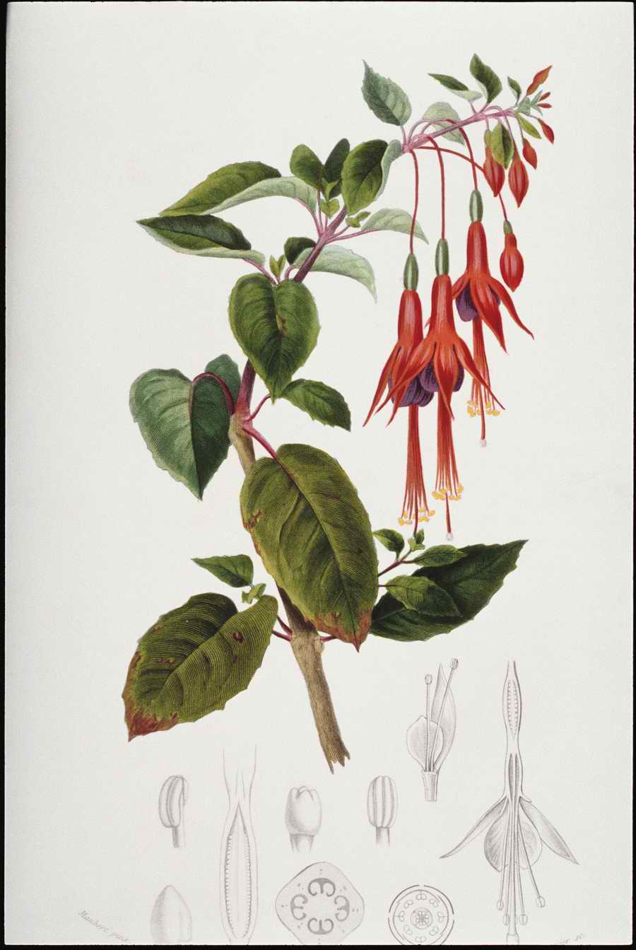 Italian Fine Art, Prints & Photographs - Photodisc ></a>
<script language=JavaScript> 
  var txt = 