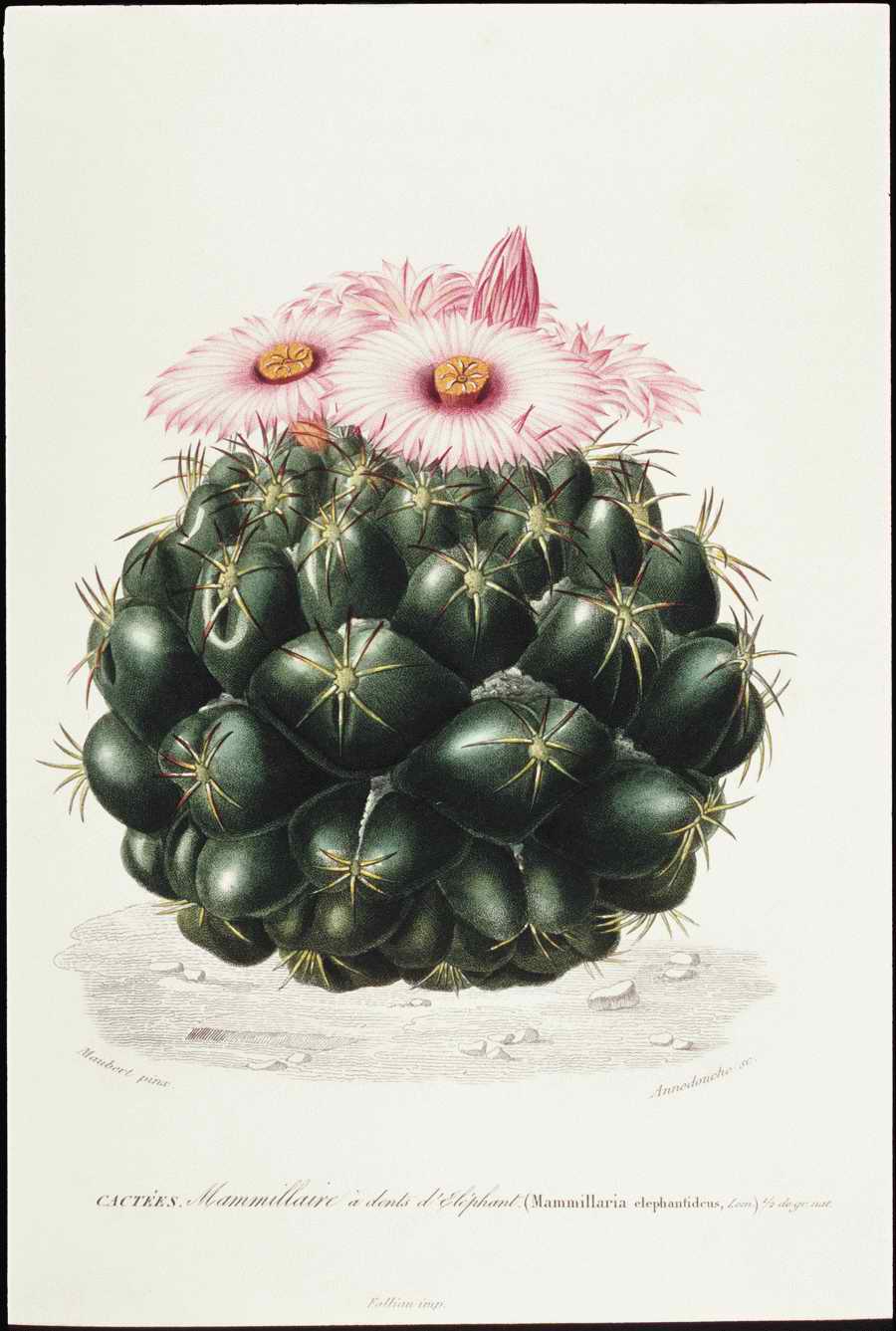 Italian Fine Art, Prints & Photographs - Photodisc ></a>
<script language=JavaScript> 
  var txt = 