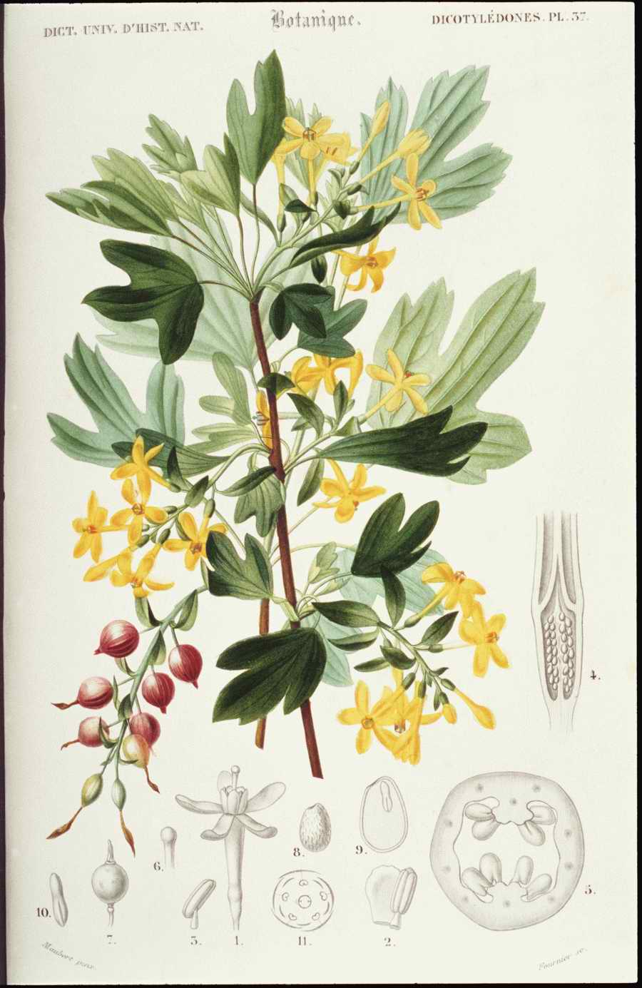 Italian Fine Art, Prints & Photographs - Photodisc ></a>
<script language=JavaScript> 
  var txt = 