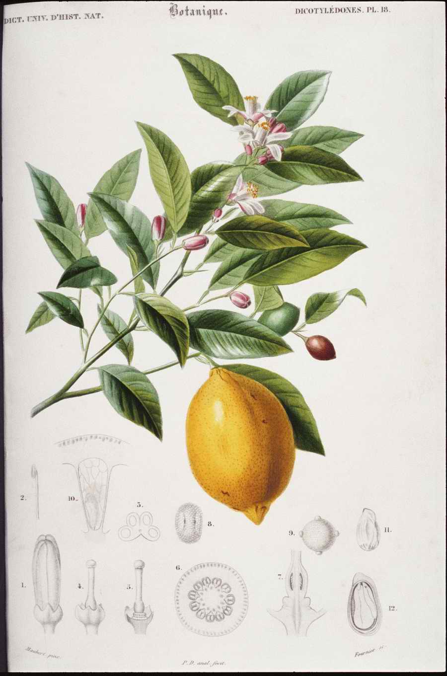 Italian Fine Art, Prints & Photographs - Photodisc ></a>
<script language=JavaScript> 
  var txt = 