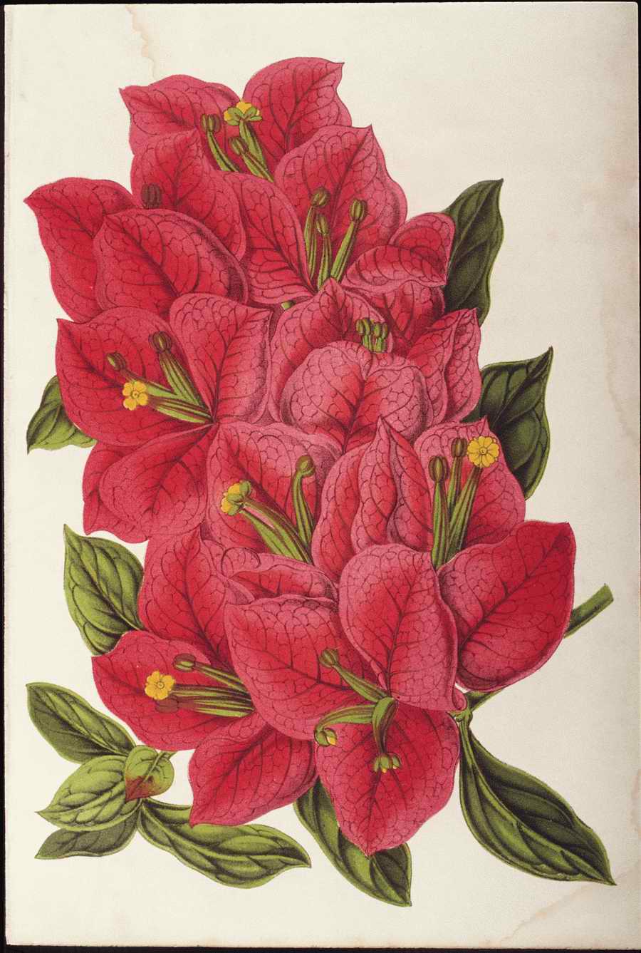 Italian Fine Art, Prints & Photographs - Photodisc ></a>
<script language=JavaScript> 
  var txt = 