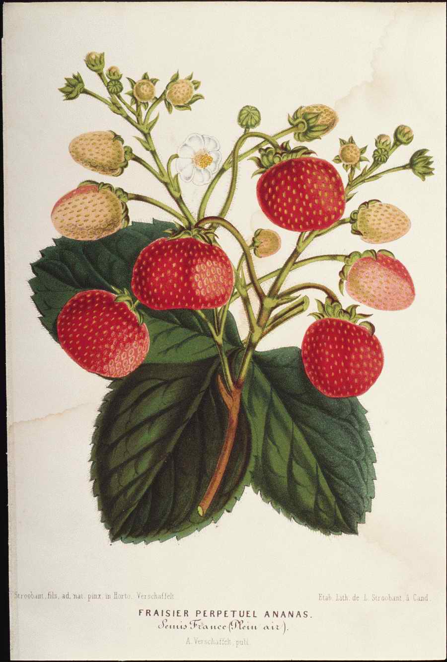 Italian Fine Art, Prints & Photographs - Photodisc ></a>
<script language=JavaScript> 
  var txt = 