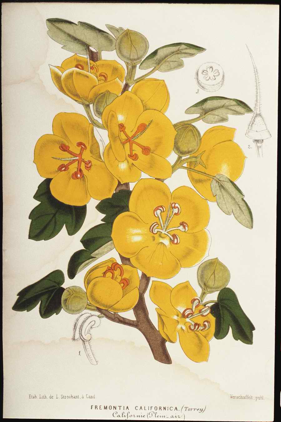 Italian Fine Art, Prints & Photographs - Photodisc ></a>
<script language=JavaScript> 
  var txt = 