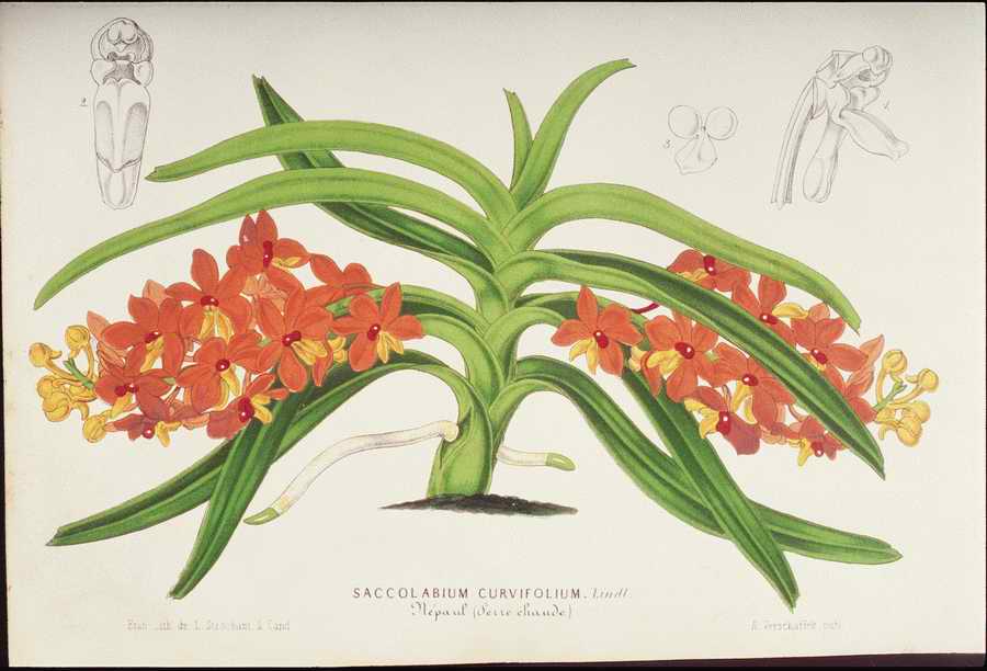 Italian Fine Art, Prints & Photographs - Photodisc ></a>
<script language=JavaScript> 
  var txt = 