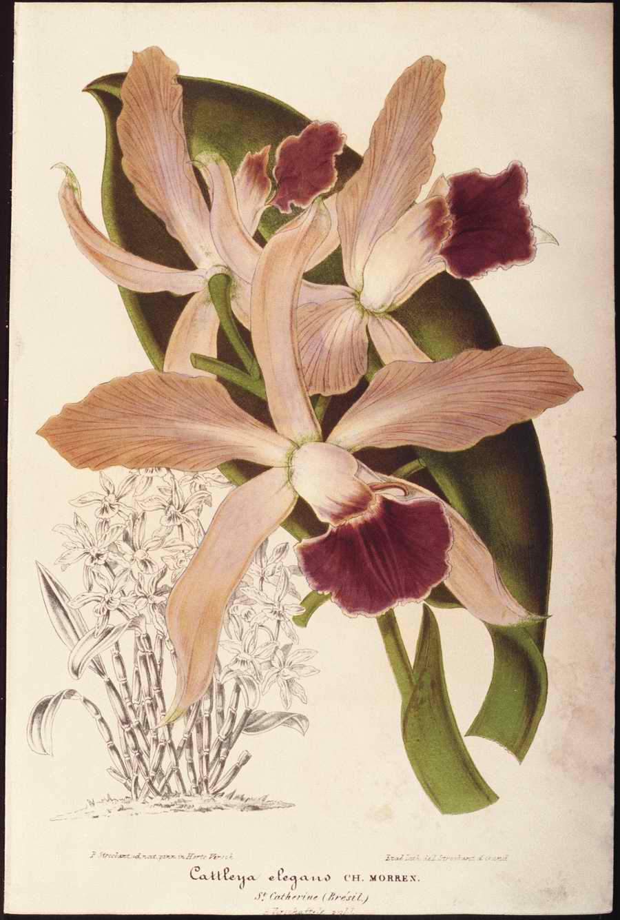 Italian Fine Art, Prints & Photographs - Photodisc ></a>
<script language=JavaScript> 
  var txt = 