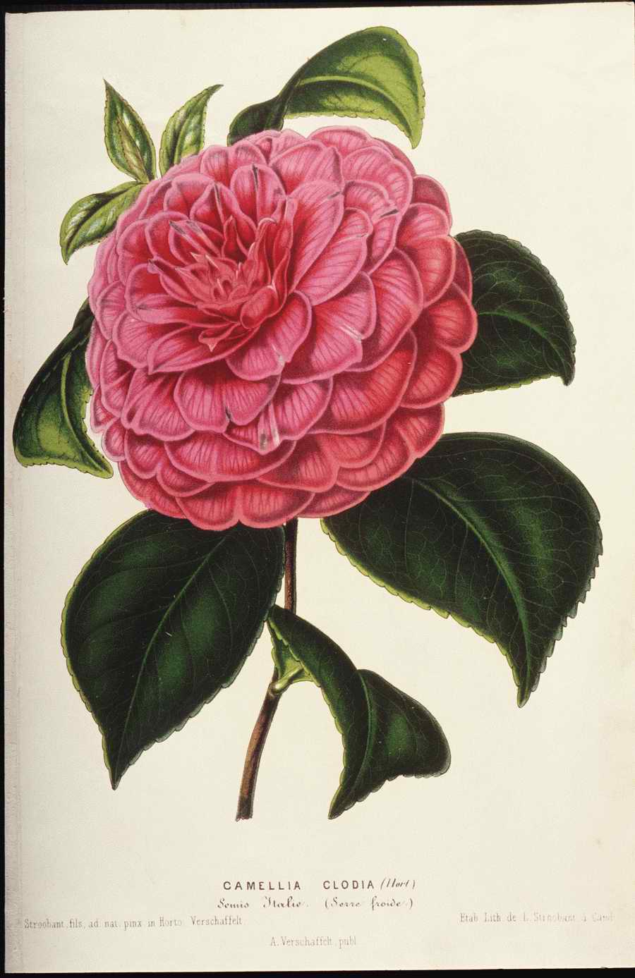 Italian Fine Art, Prints & Photographs - Photodisc ></a>
<script language=JavaScript> 
  var txt = 