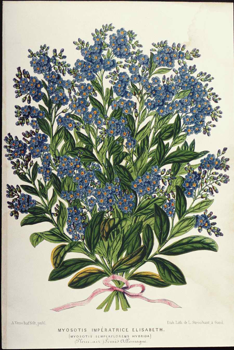 Italian Fine Art, Prints & Photographs - Photodisc ></a>
<script language=JavaScript> 
  var txt = 