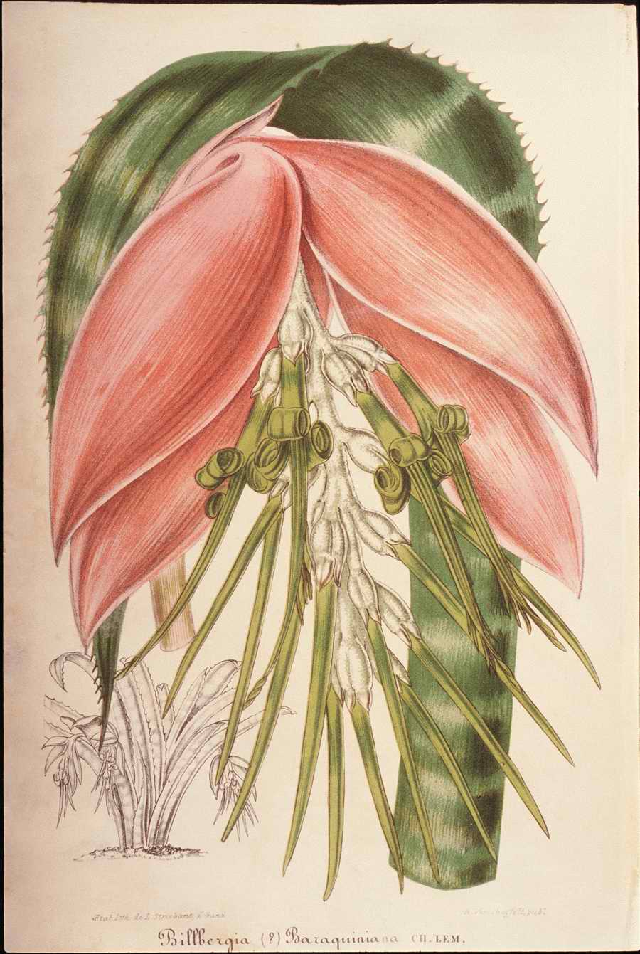 Italian Fine Art, Prints & Photographs - Photodisc ></a>
<script language=JavaScript> 
  var txt = 