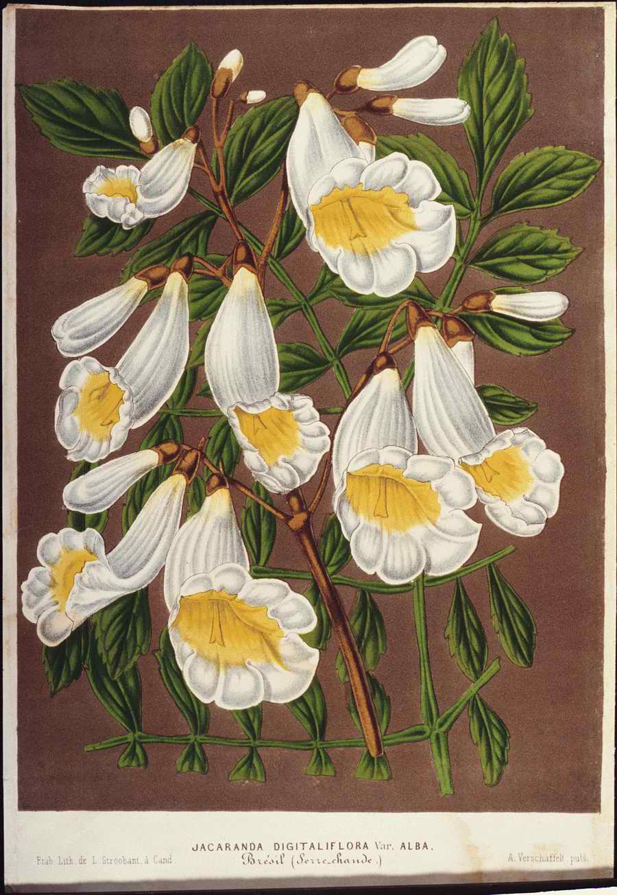 Italian Fine Art, Prints & Photographs - Photodisc ></a>
<script language=JavaScript> 
  var txt = 