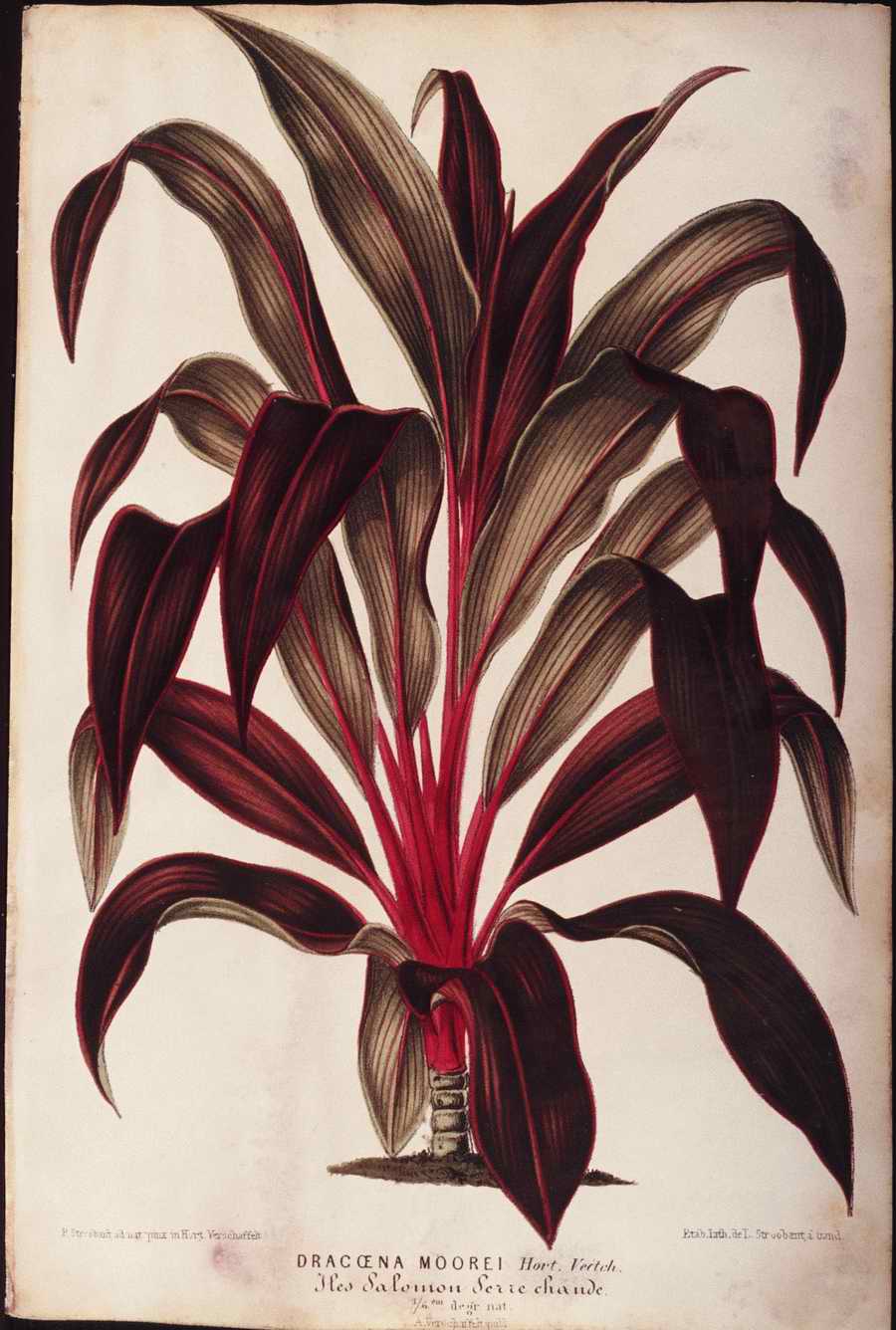 Italian Fine Art, Prints & Photographs - Photodisc ></a>
<script language=JavaScript> 
  var txt = 