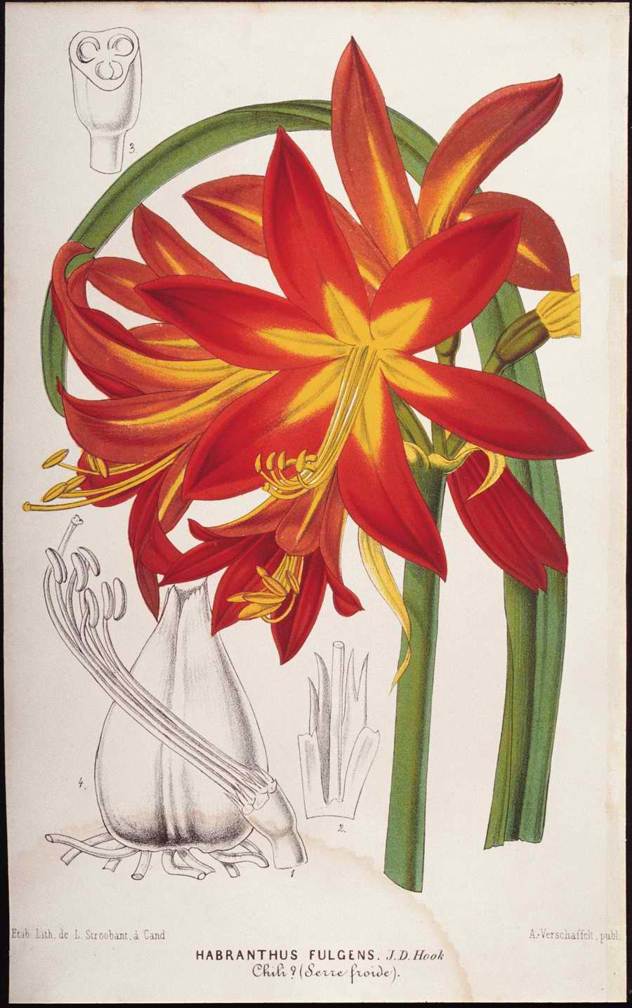 Italian Fine Art, Prints & Photographs - Photodisc ></a>
<script language=JavaScript> 
  var txt = 