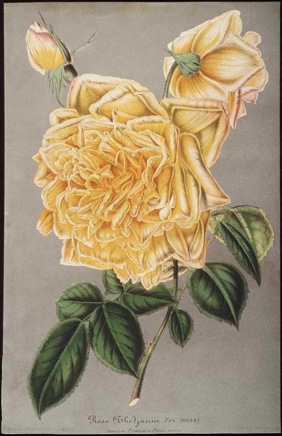 Italian Fine Art, Prints & Photographs - Photodisc ></a>
<script language=JavaScript> 
  var txt = 