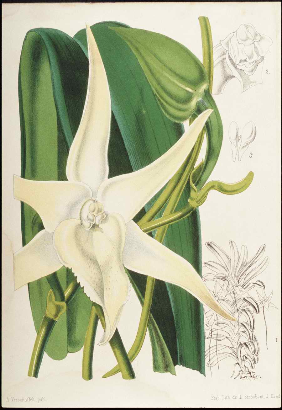 Italian Fine Art, Prints & Photographs - Photodisc ></a>
<script language=JavaScript> 
  var txt = 