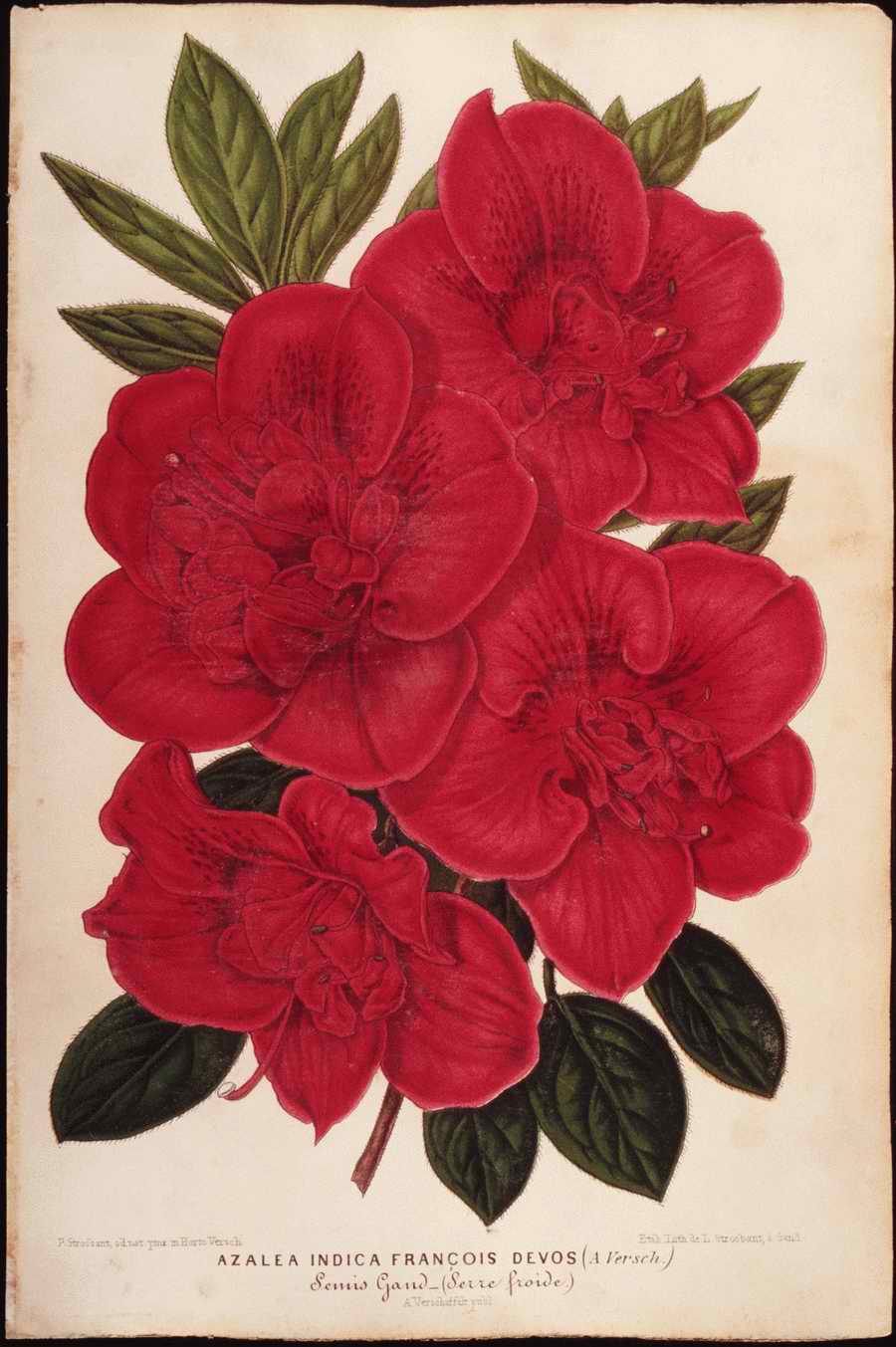 Italian Fine Art, Prints & Photographs - Photodisc ></a>
<script language=JavaScript> 
  var txt = 