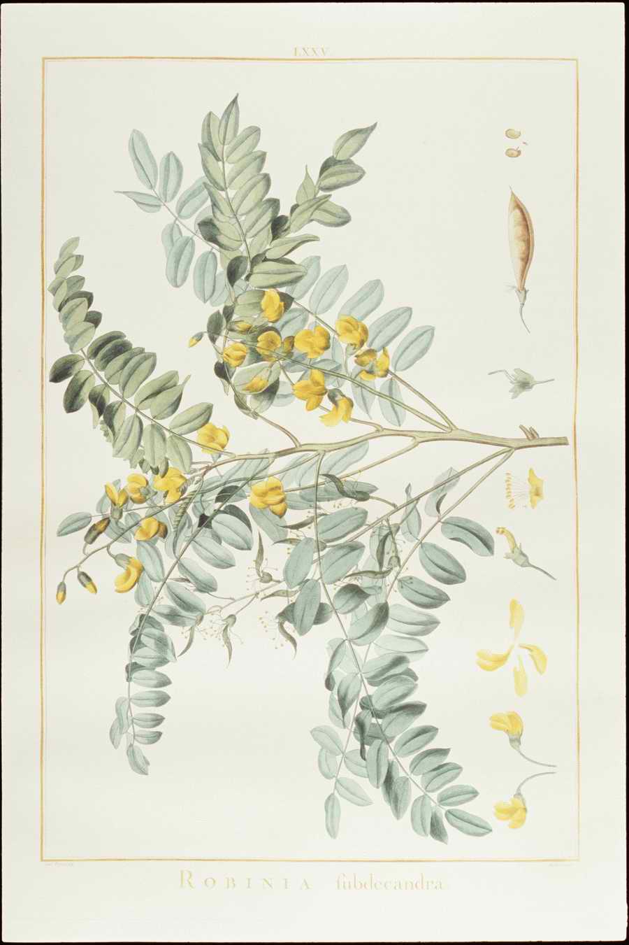 Italian Fine Art, Prints & Photographs - Photodisc ></a>
<script language=JavaScript> 
  var txt = 