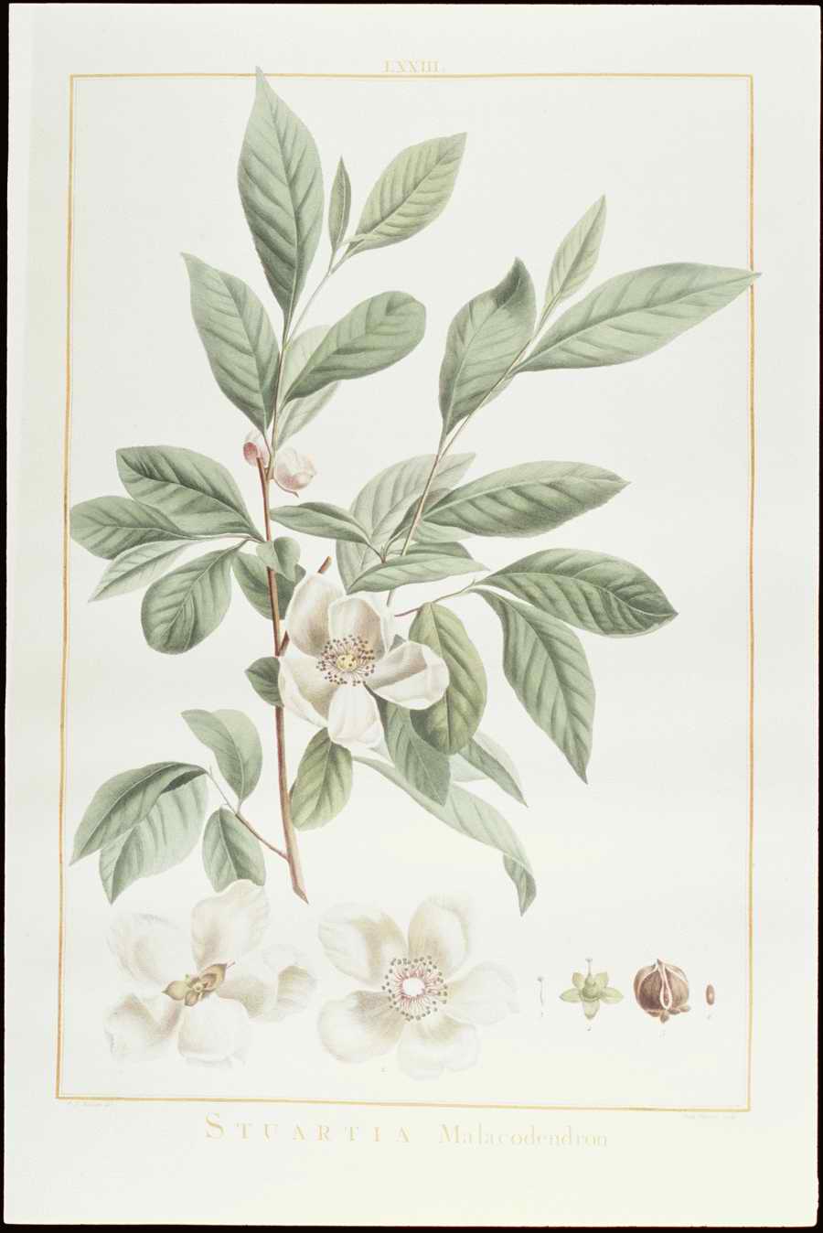 Italian Fine Art, Prints & Photographs - Photodisc ></a>
<script language=JavaScript> 
  var txt = 