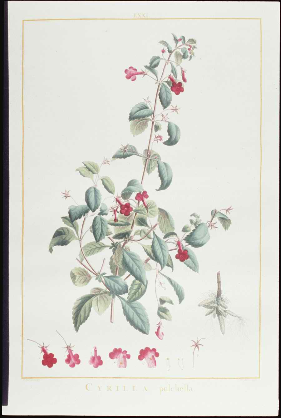 Italian Fine Art, Prints & Photographs - Photodisc ></a>
<script language=JavaScript> 
  var txt = 