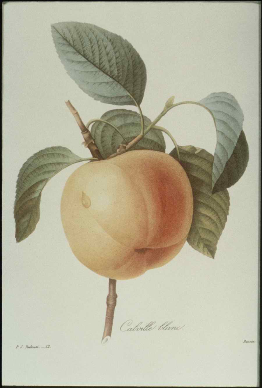 Italian Fine Art, Prints & Photographs - Photodisc ></a>
<script language=JavaScript> 
  var txt = 