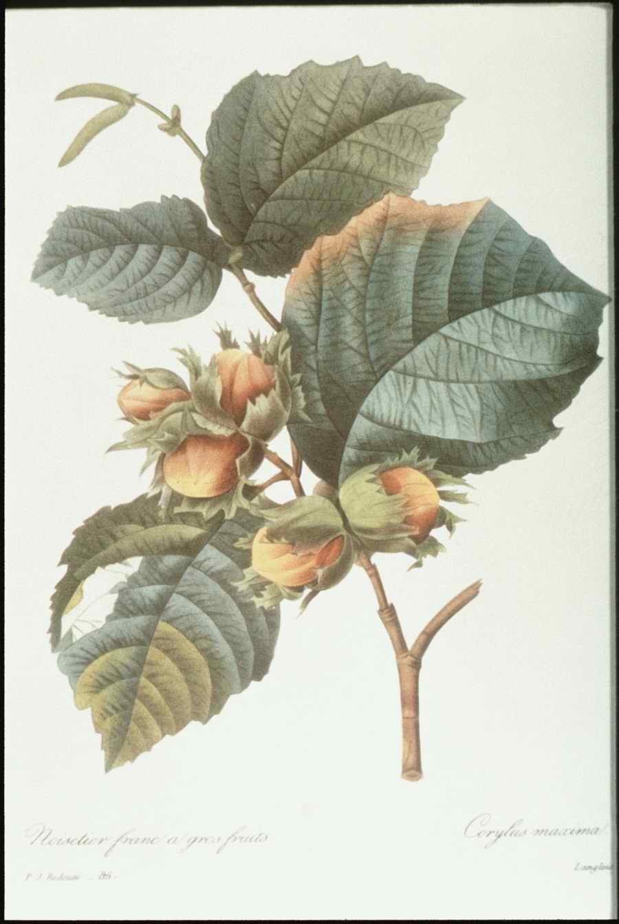 Italian Fine Art, Prints & Photographs - Photodisc ></a>
<script language=JavaScript> 
  var txt = 